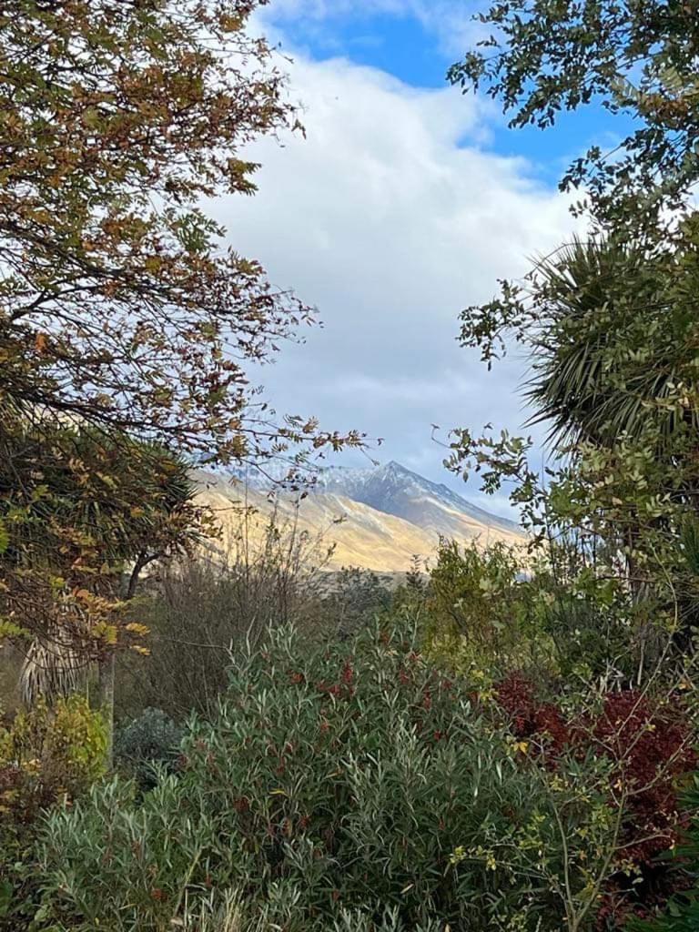 #3 Glenorchy Alpine Suite Aspen Dış mekan fotoğraf
